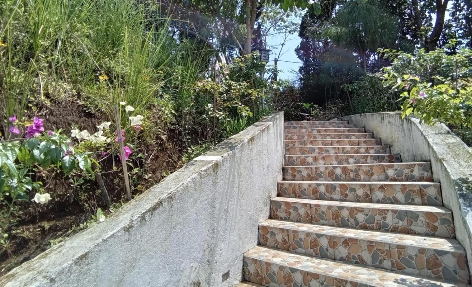 Hotel Bukit Pinus Tegalharendong 외부 사진