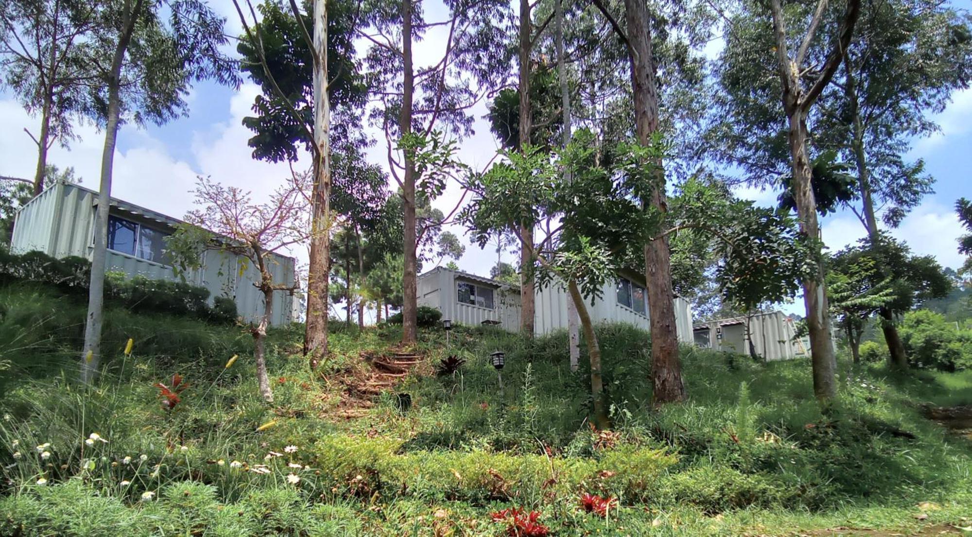 Hotel Bukit Pinus Tegalharendong 외부 사진